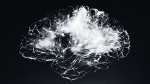 BRYTER contribution to the AI association paper