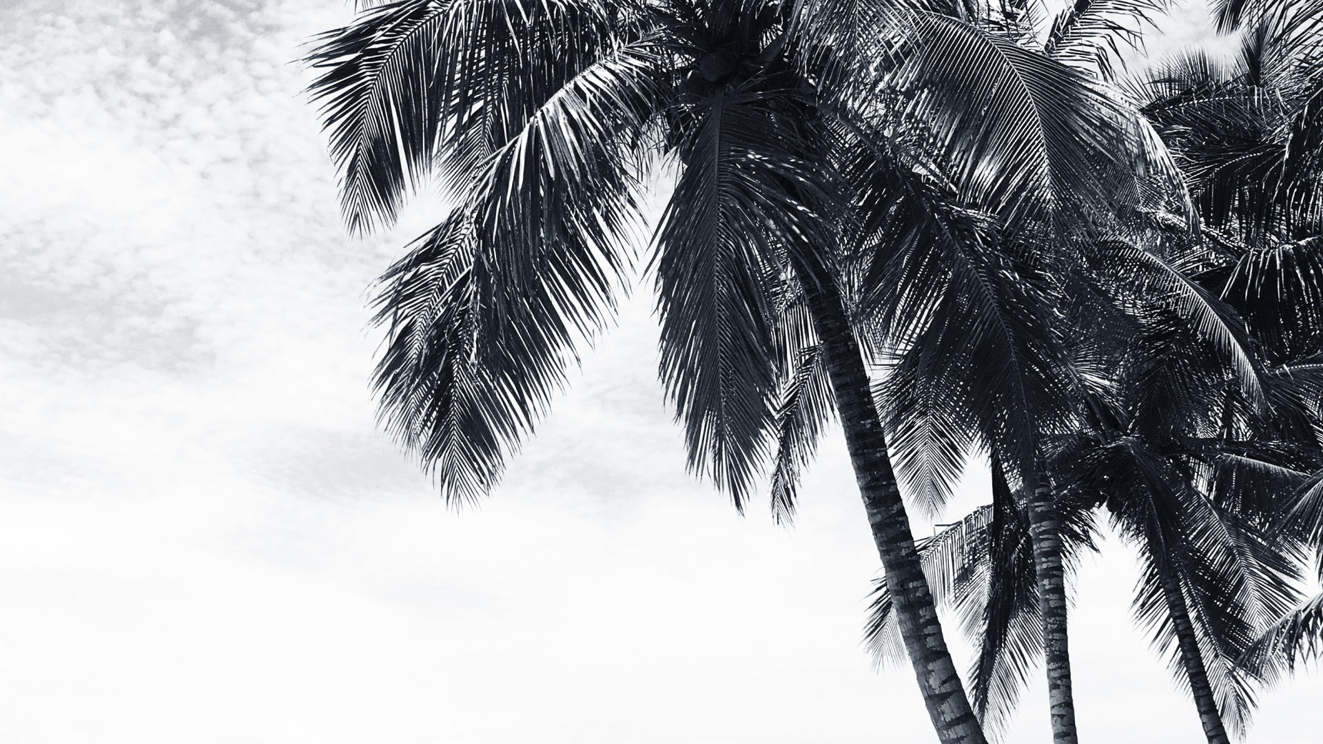 Virtual company gathering