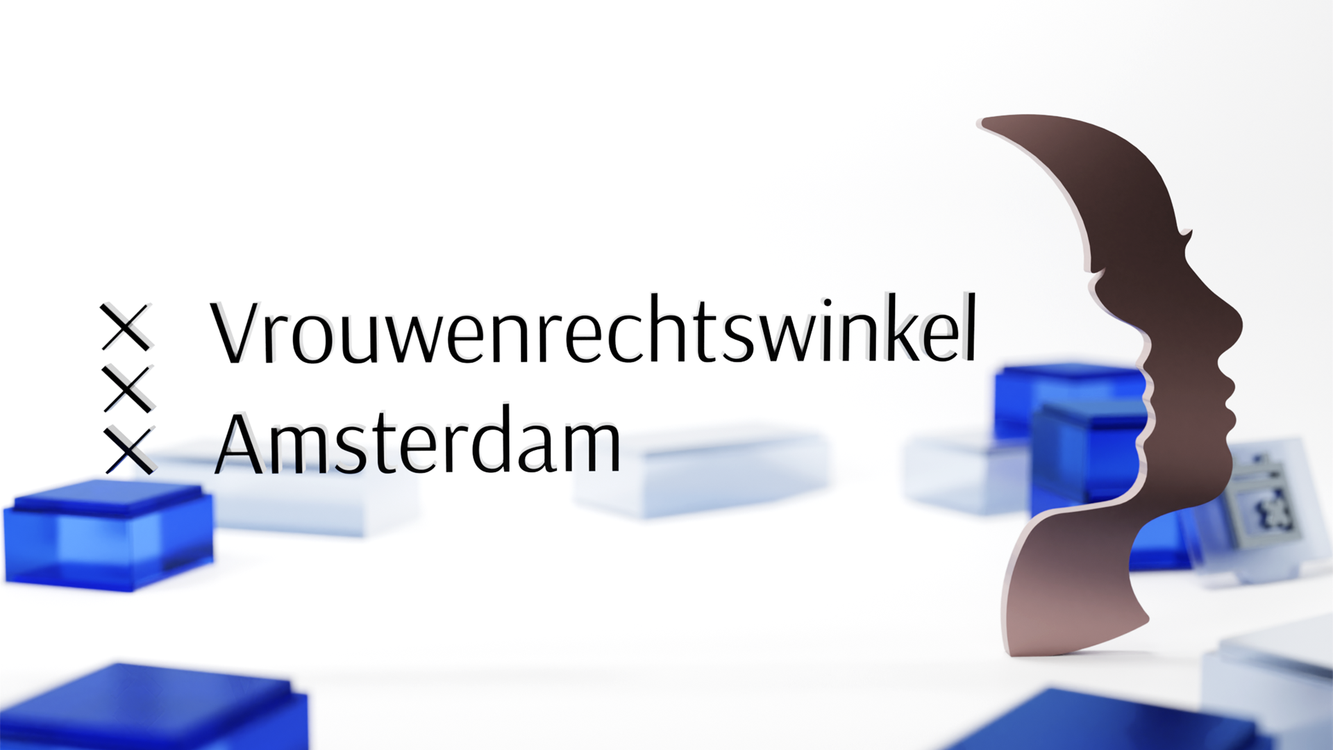 Vrouwenrechtswinkel and BRYTER