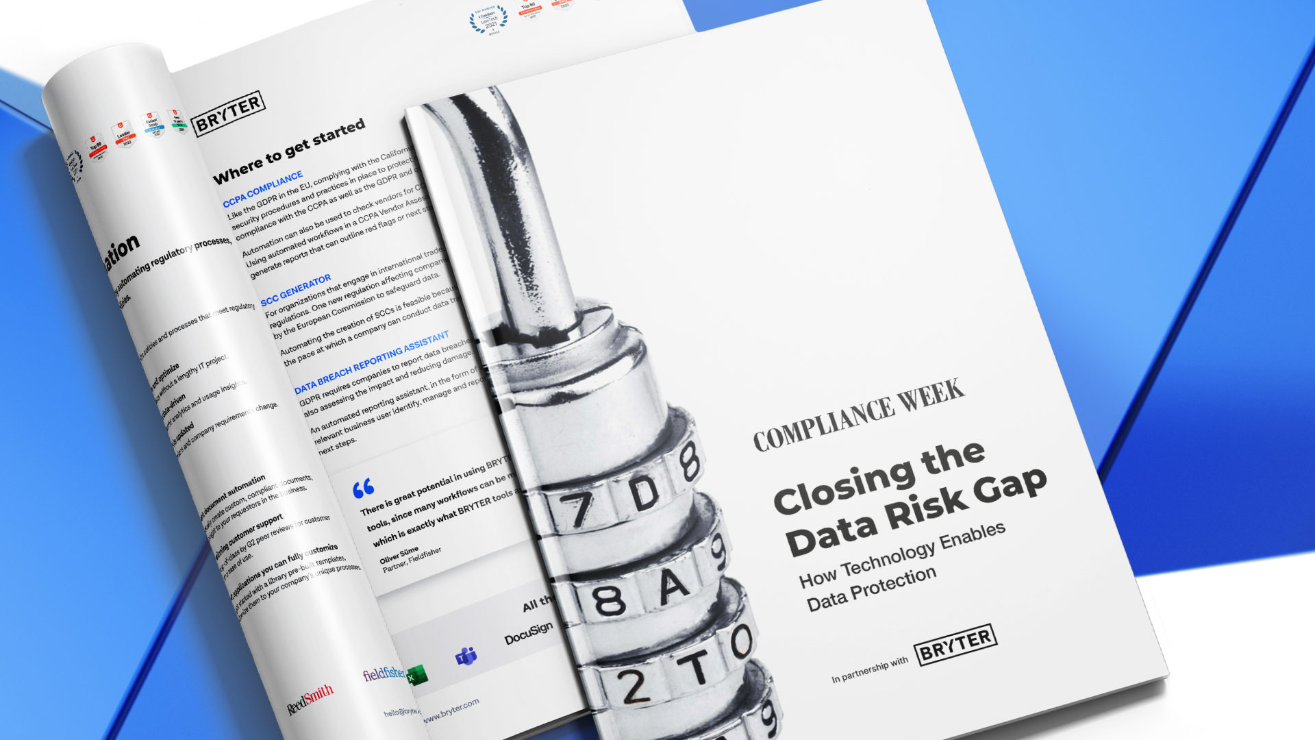 E-book: Closing the data risk gap